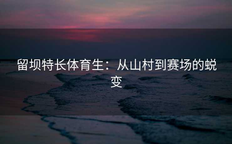 留坝特长体育生：从山村到赛场的蜕变